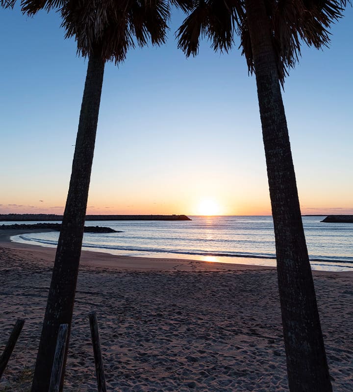 サンビーチ 一ツ葉