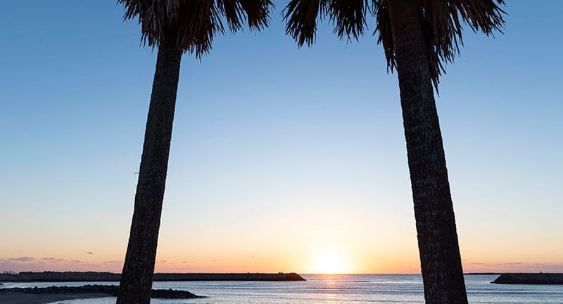 サンビーチ 一ツ葉