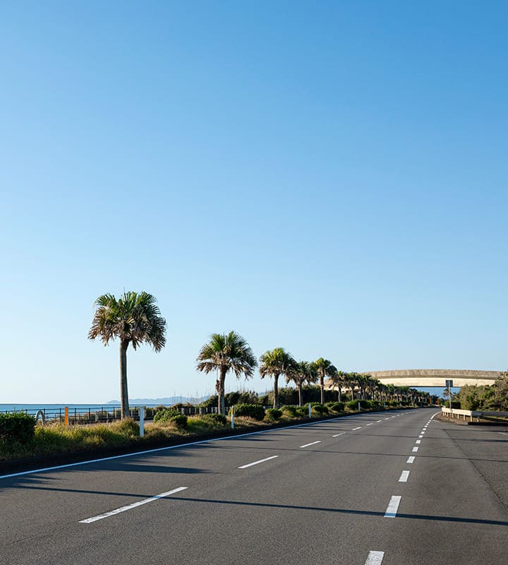 一ツ葉有料道路