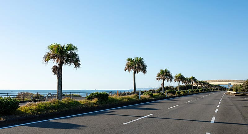 一ツ葉有料道路