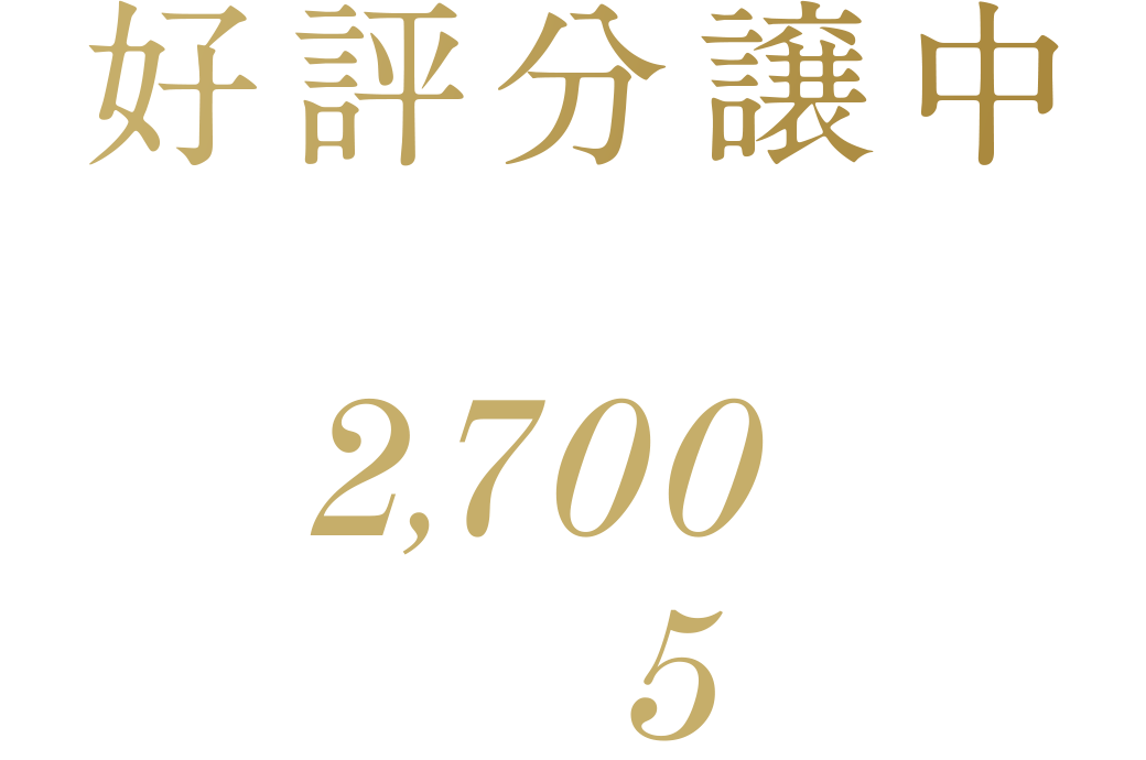 好評分譲中 3LDK2,700万円台〜 頭金8万円 ボーナス払い0円 月々5万円台〜